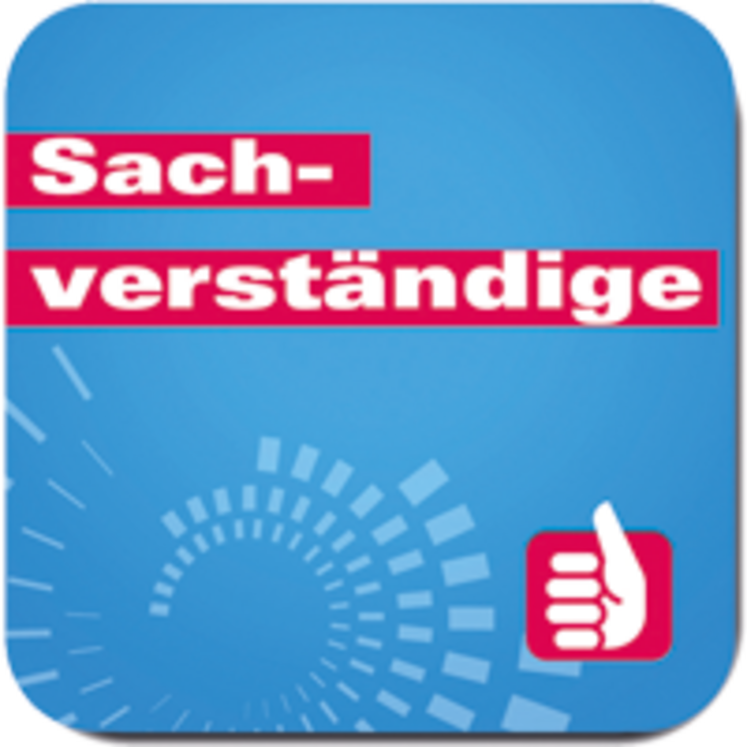 Sachverständige (Icon)